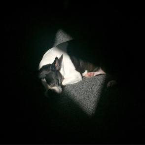 15232162_10101781326554587_7304194771122828891_n