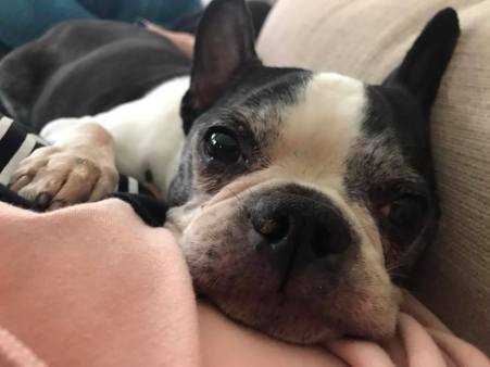 23517602_10102314646976187_2789151561306339135_n