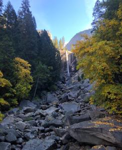 46215514_10102737198549447_7249509388073828352_n